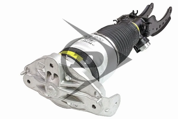 Air Spring, suspension