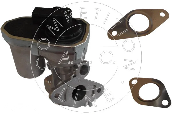 EGR Valve (54905)