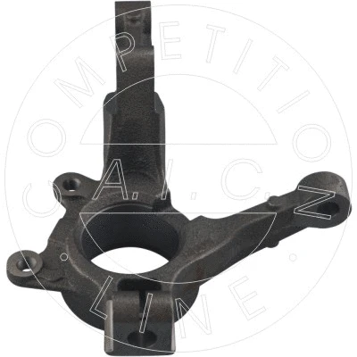 Steering Knuckle, wheel suspension (56456)