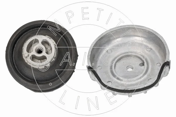 Mounting, engine (71566)