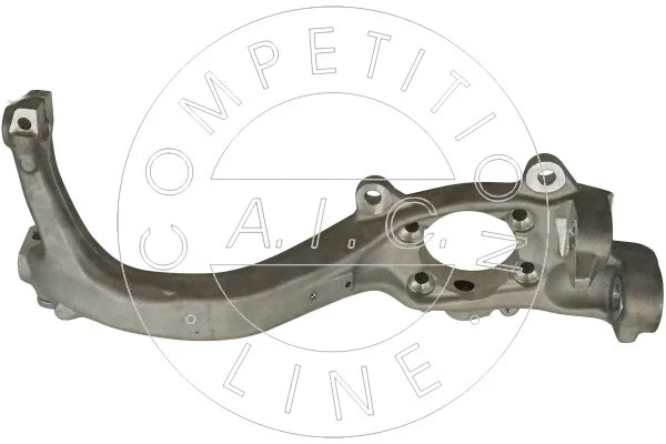 Steering Knuckle, wheel suspension