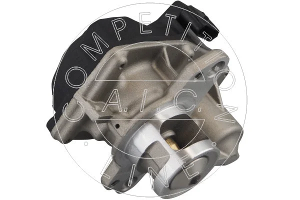 EGR Valve (70387)