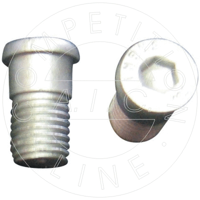 Bolt, brake disc (51886)