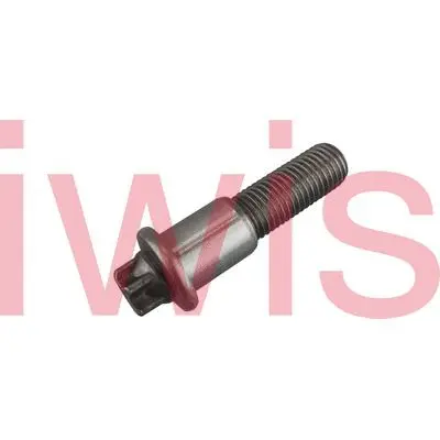 Screw (60206)