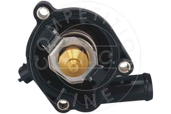 Thermostat, coolant (58061)