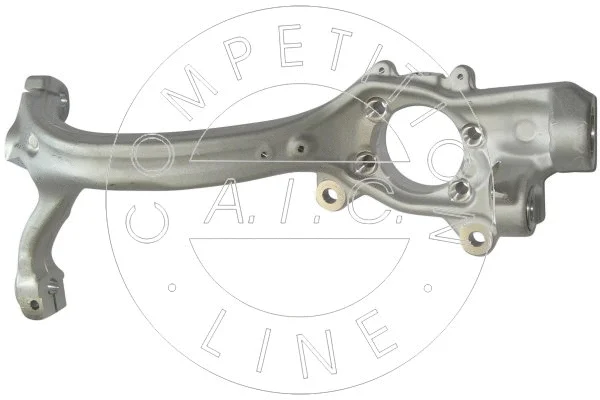 Steering Knuckle, wheel suspension (55831)