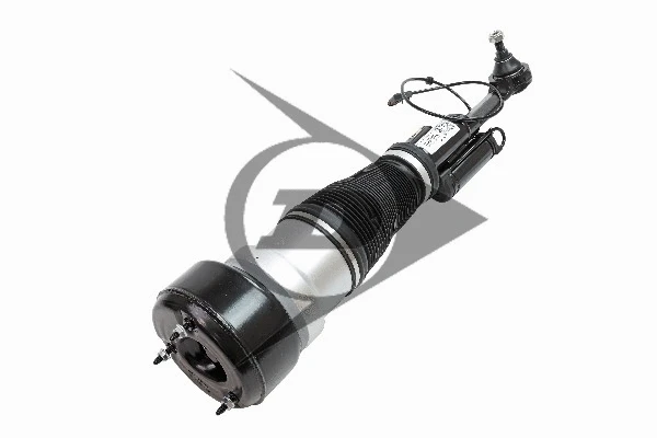 Air Suspension Strut