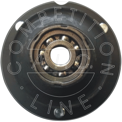 Suspension Strut Support Mount