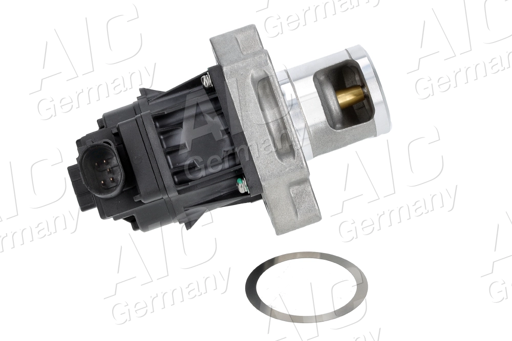EGR Valve (70355)
