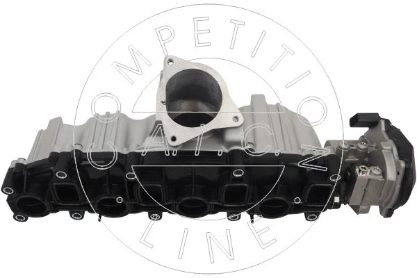 Intake Manifold Module