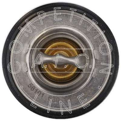 Thermostat, coolant (58101)