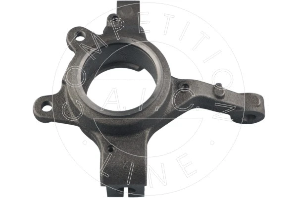 Steering Knuckle, wheel suspension