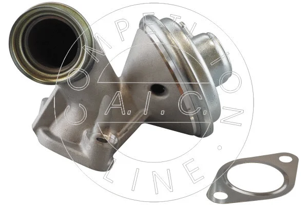EGR Valve (70381)