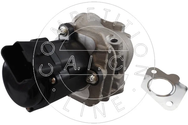 EGR Valve