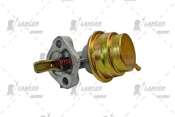 Hand Feed Pump