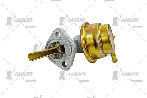 Hand Feed Pump