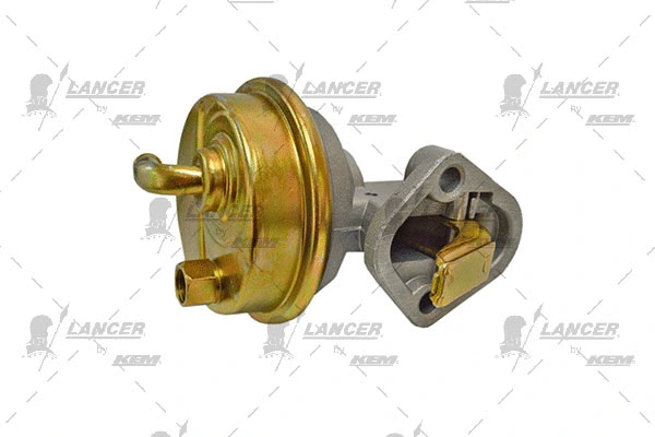 Hand Feed Pump