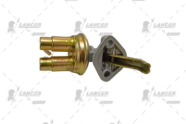 Hand Feed Pump