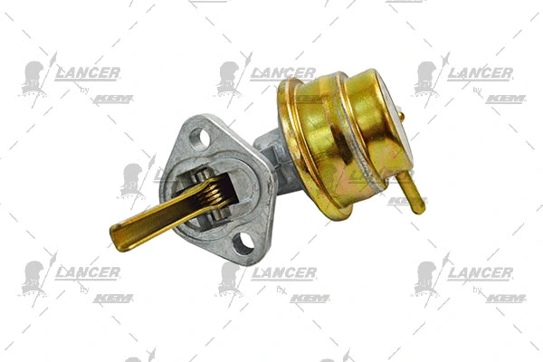 Hand Feed Pump