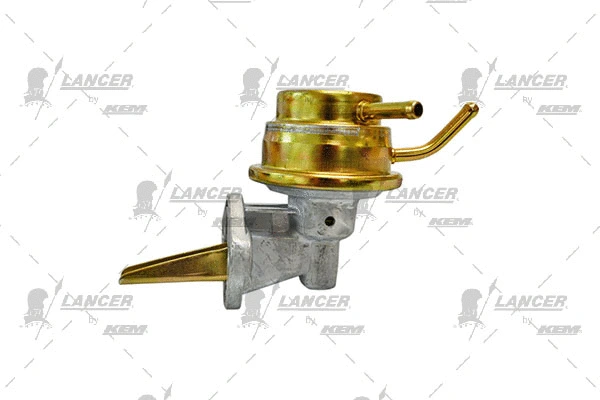 Hand Feed Pump