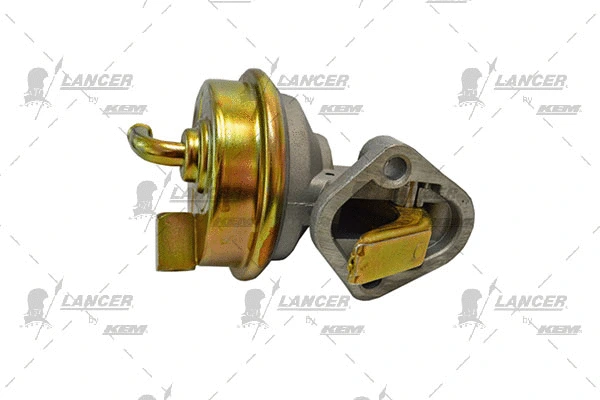 Hand Feed Pump
