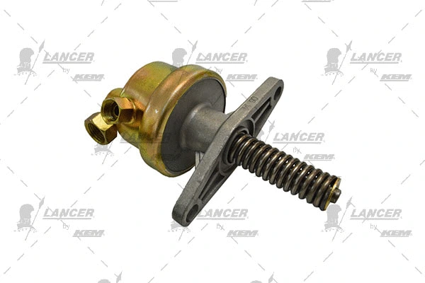 Hand Feed Pump