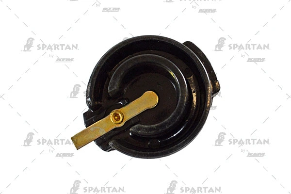 Rotor, distributor