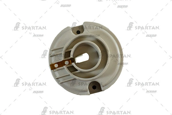 Rotor, distributor