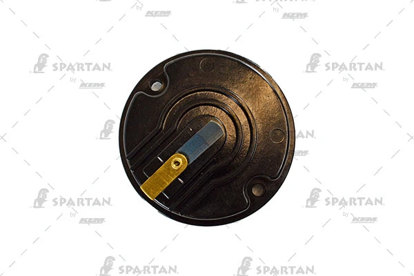 Rotor, distributor
