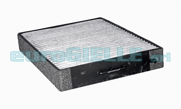 Filter, cabin air (V3640)