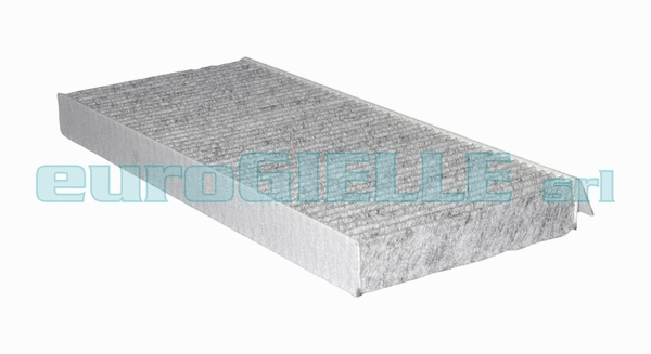 Filter, cabin air (V3219)