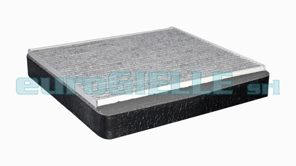 Filter, cabin air (V3612)