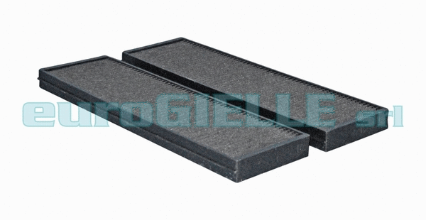 Filter, cabin air (V3789)
