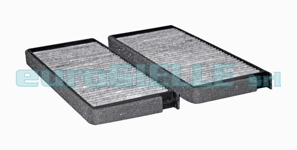 Filter, cabin air (V3673)