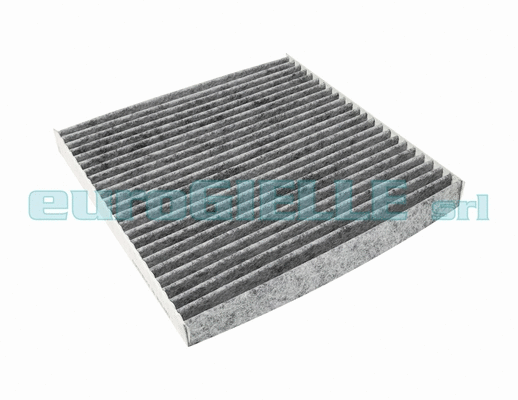 Filter, cabin air (V4053)
