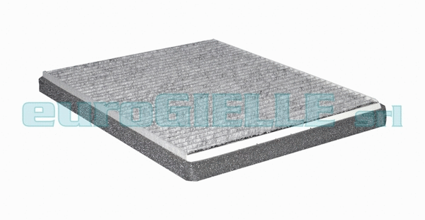 Filter, cabin air (V3610)