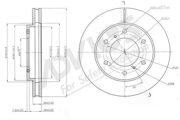 Brake Disc (D6F281)