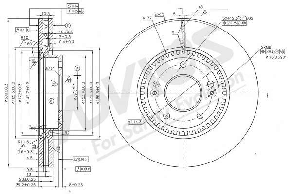 Brake Disc (R6F808)