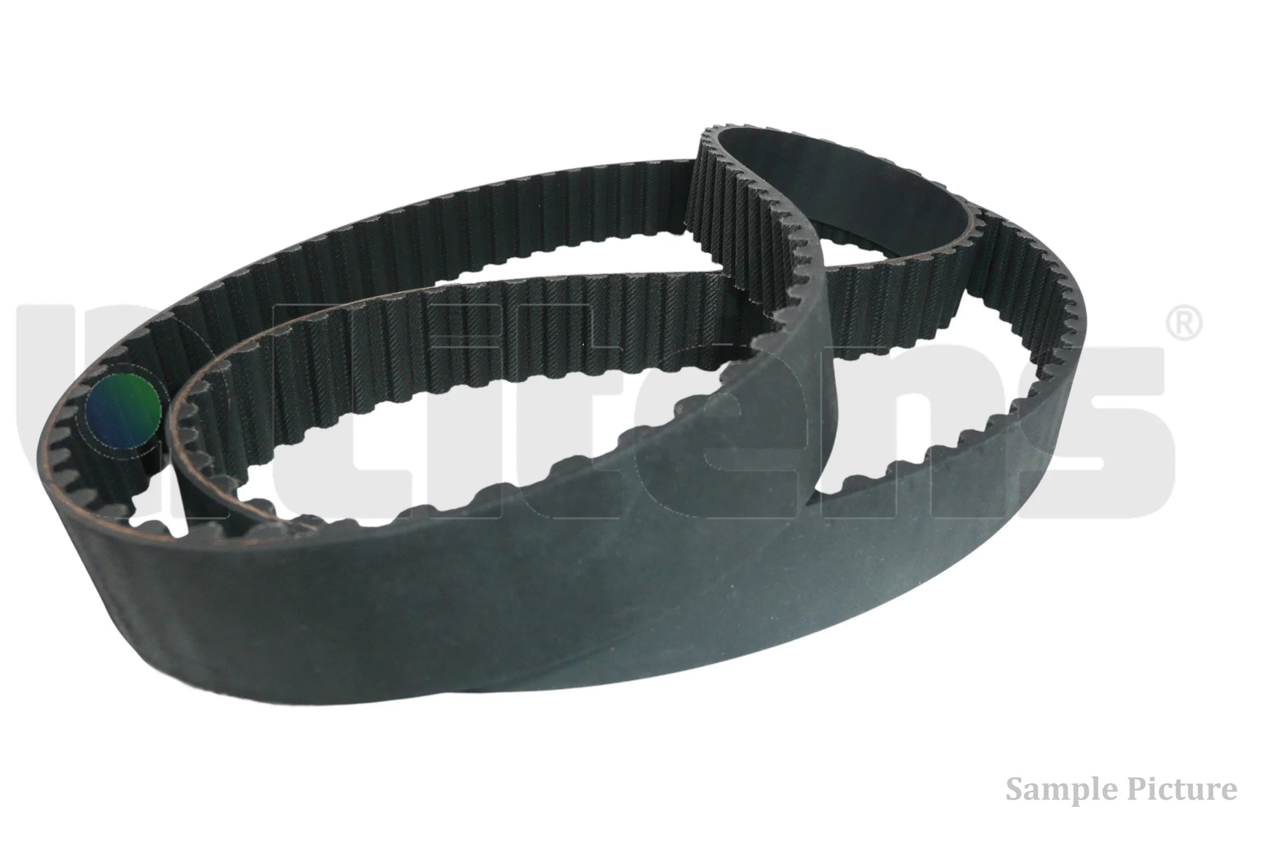 Timing Belt (LT0488)