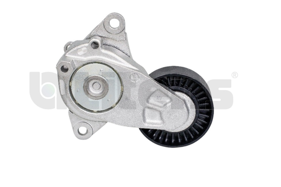 Belt Tensioner, V-ribbed belt