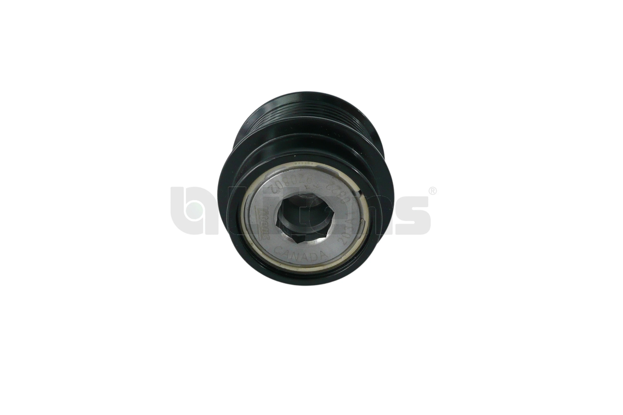 Alternator Freewheel Clutch