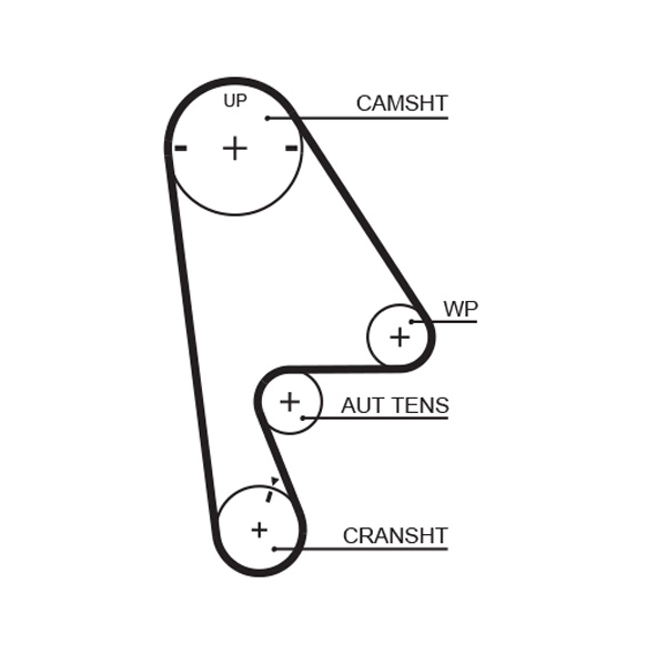 Timing Belt