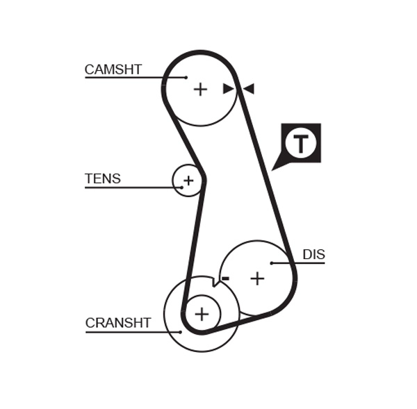Timing Belt