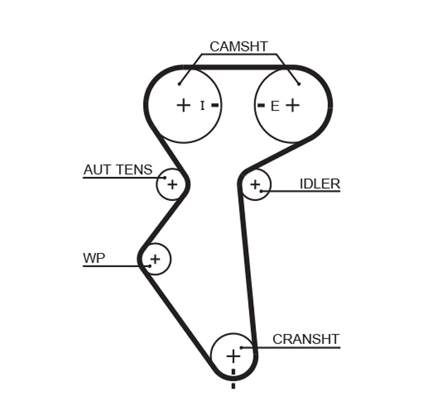 Timing Belt