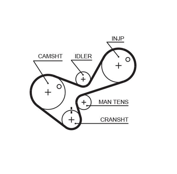 Timing Belt