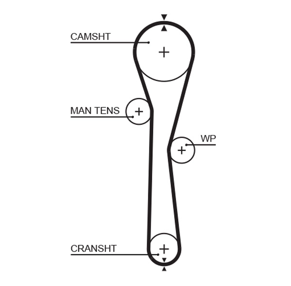 Timing Belt