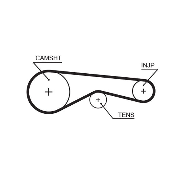 Timing Belt