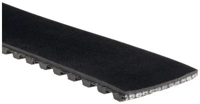 Timing Belt