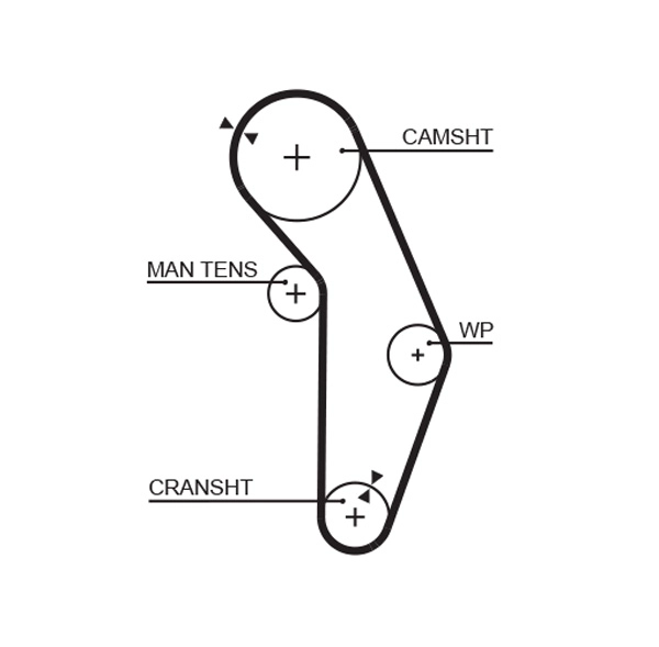 Timing Belt
