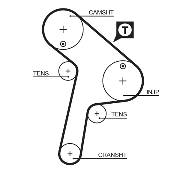 Timing Belt